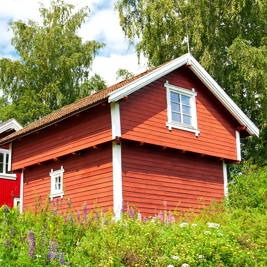 Renovering av forrad