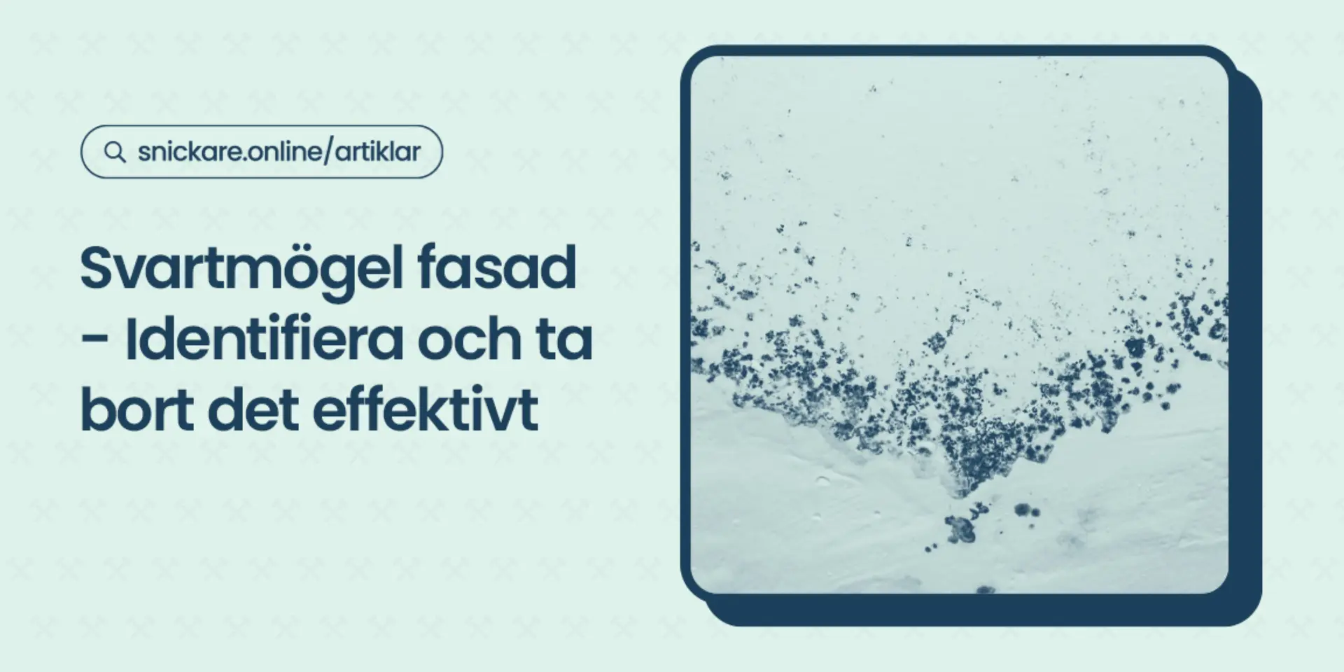 Svartmogel fasad